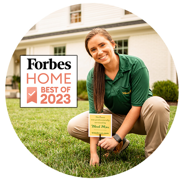 Weed Man Lawn Sign Forbes Home Best of 2023